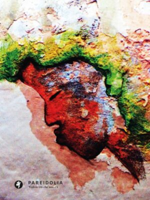 Pareidolia. Vedere ciò che non c'è