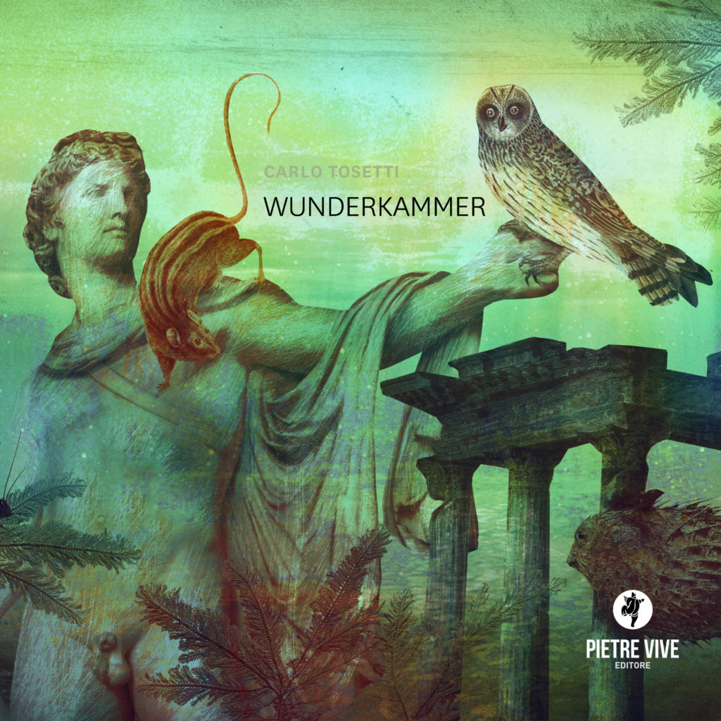 Wunderkammer. Audiolibro. Formato MP3