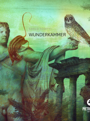 Wunderkammer. Audiolibro. Formato MP3