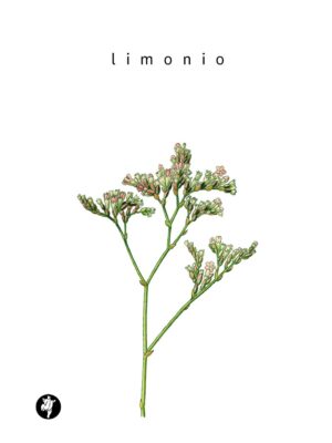 Limonio